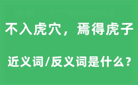 老虎穴|不入虎穴，焉得虎子的穴是什么意思？